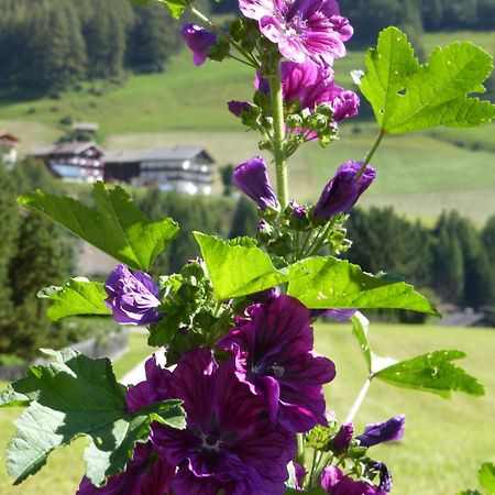 Haus Panoramablick Apartment Kals-am Großglockner Екстериор снимка