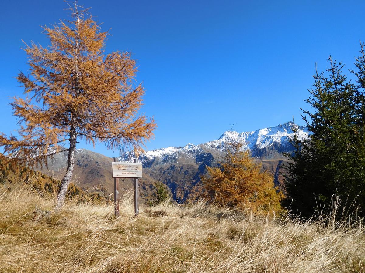 Haus Panoramablick Apartment Kals-am Großglockner Екстериор снимка