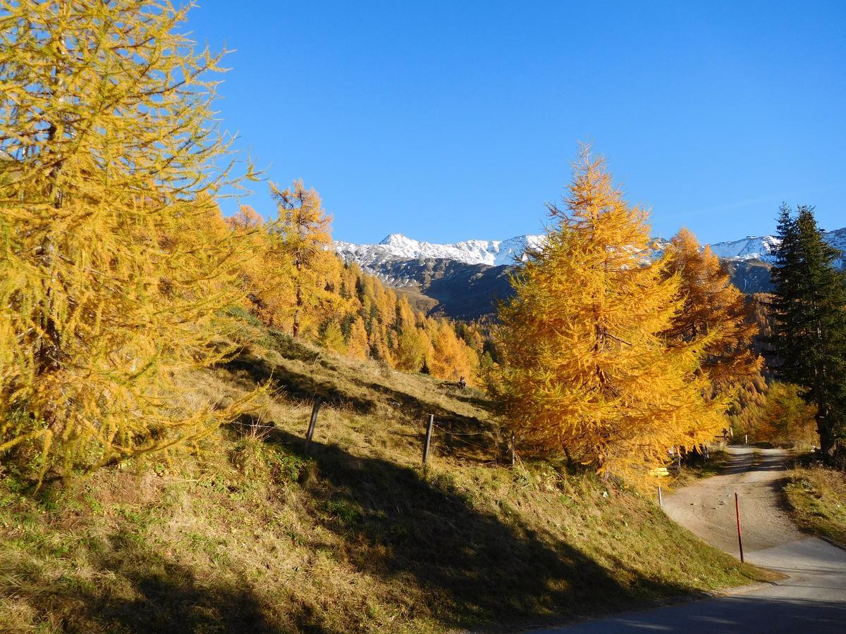 Haus Panoramablick Apartment Kals-am Großglockner Екстериор снимка